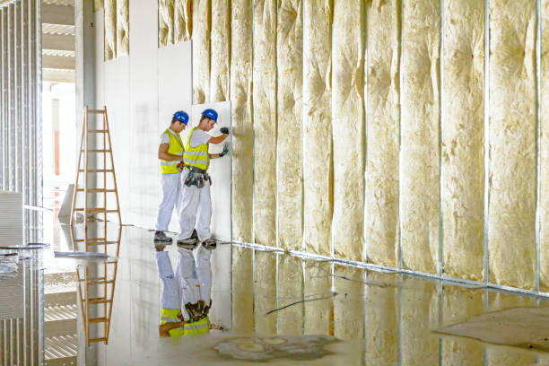 Best Insulation Installation Services in Dickinson, TX